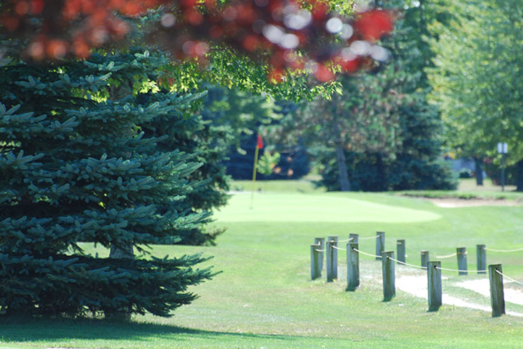 Woodland Hills Golf Club course fairway with trees